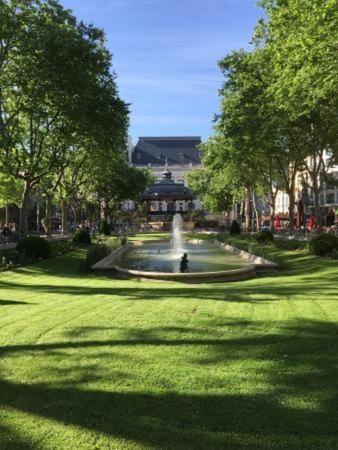 Le Cosy Central Moderne Et Chaleureux Saint-Etienne  Buitenkant foto